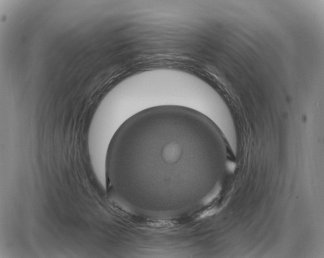 X0000085260125200703231725