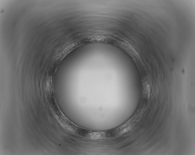 X0000085260126200703231725