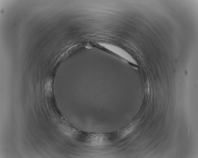 X0000085260127200703231725