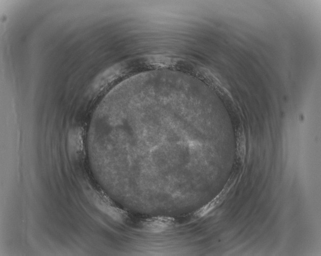 X0000085260128200703231725