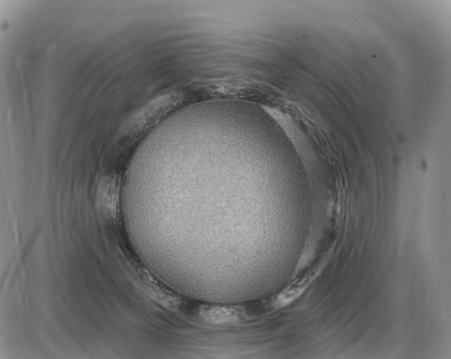 X0000085260129200703231725