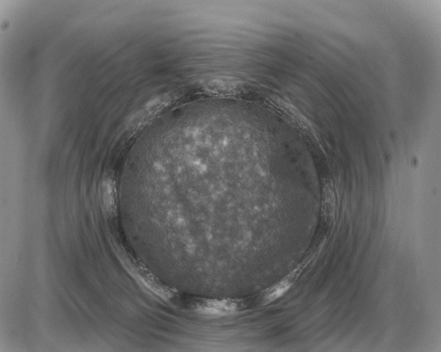 X0000085260130200703231725