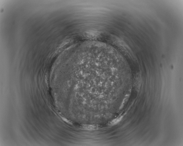 X0000085260131200703231725