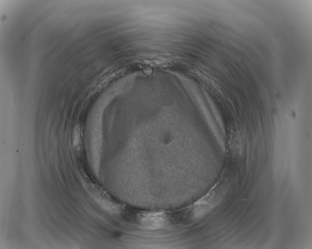 X0000085260132200703231725