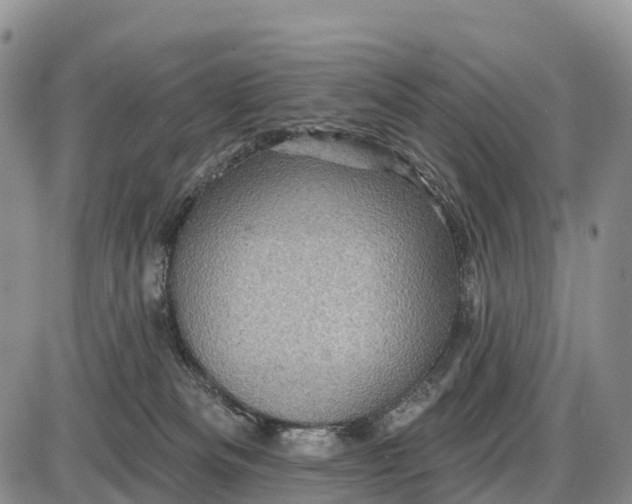 X0000085260133200703231725