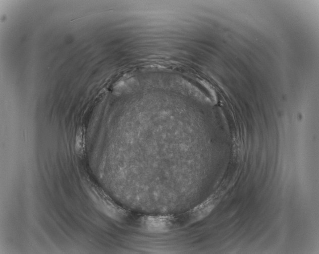 X0000085260134200703231725