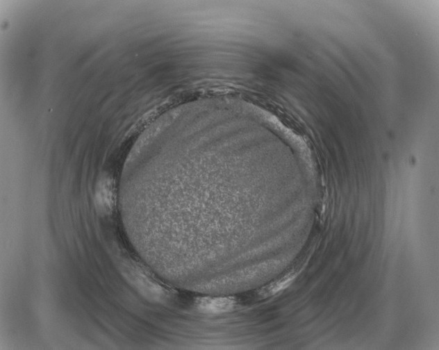 X0000085260135200703231725