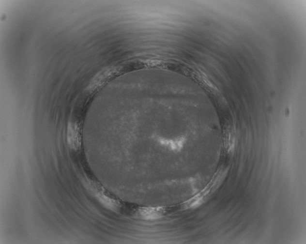 X0000085260136200703231725