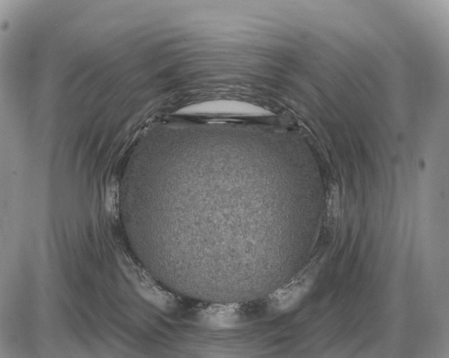 X0000085260138200703231725