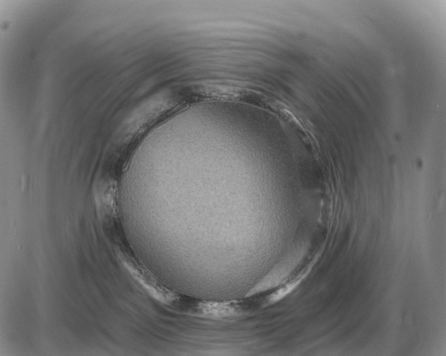 X0000085260141200703231725