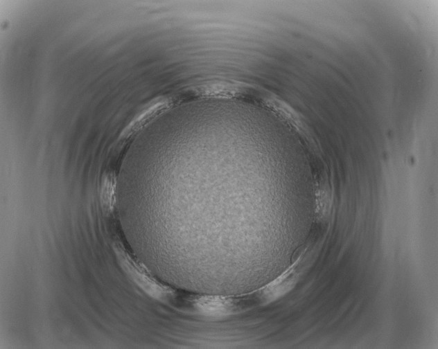 X0000085260142200703231725