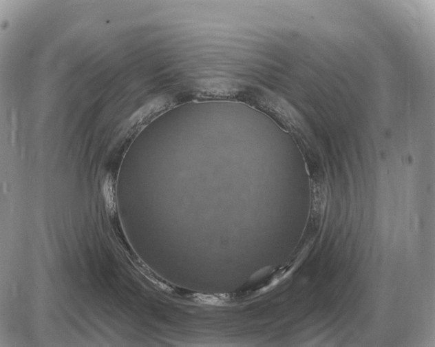 X0000085260143200703231725