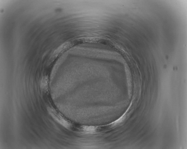 X0000085260144200703231725