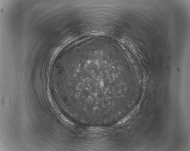 X0000085260145200703231724