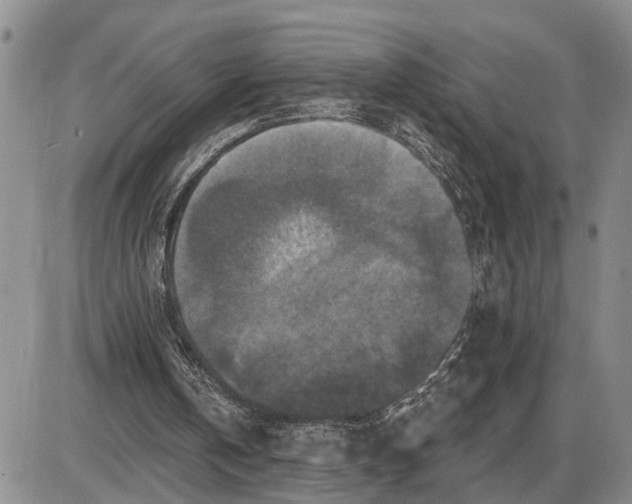 X0000085260146200703231724