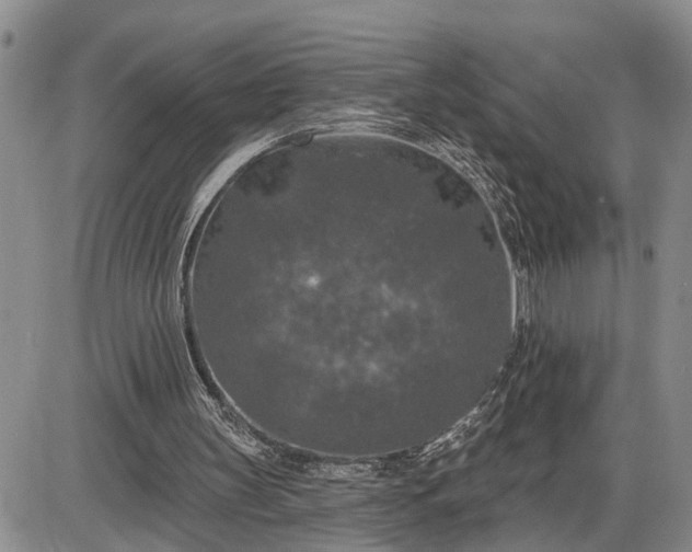 X0000085260147200703231724