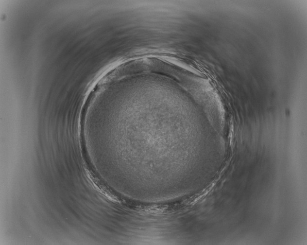 X0000085260148200703231724