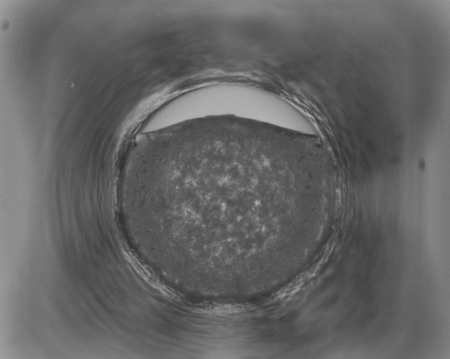 X0000085260149200703231724