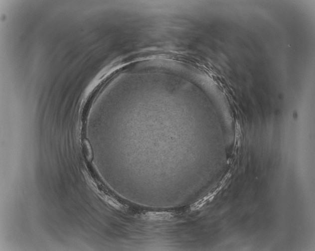 X0000085260150200703231724