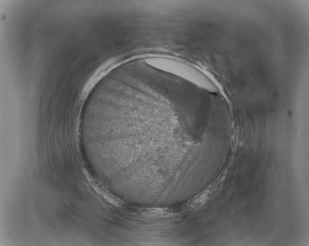 X0000085260151200703231724