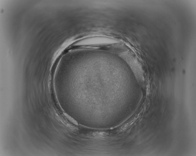 X0000085260152200703231724