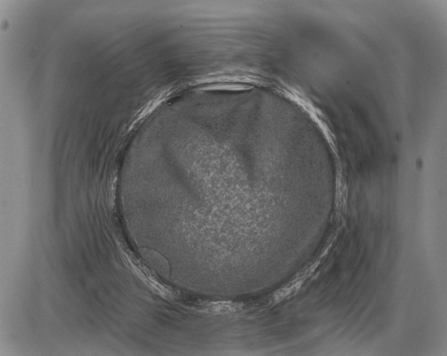 X0000085260153200703231724