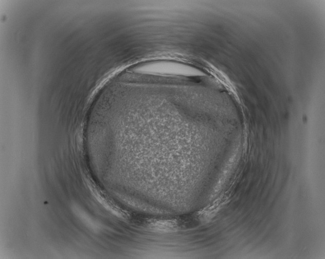 X0000085260155200703231724