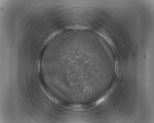 X0000085260157200703231724