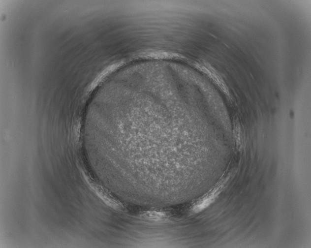 X0000085260159200703231724