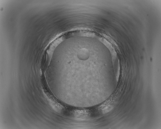 X0000085260160200703231724