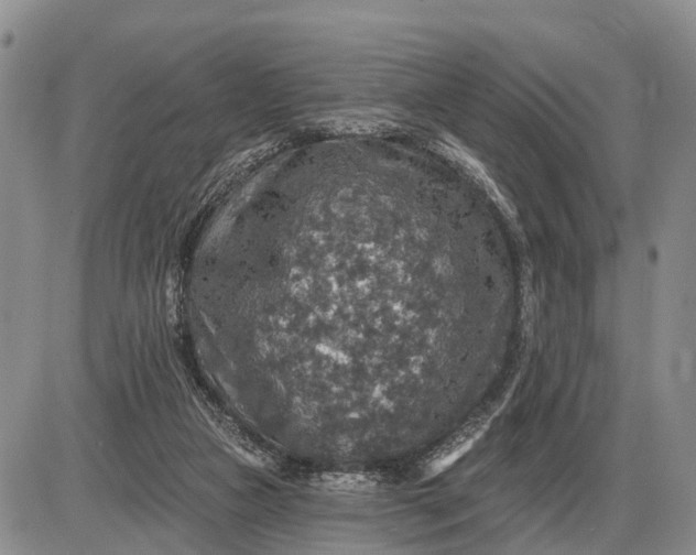 X0000085260161200703231724