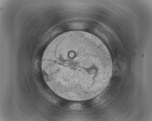 X0000085260162200703231724