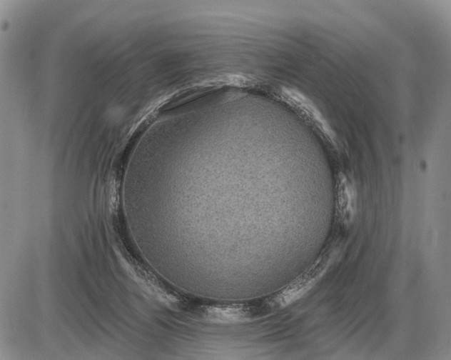 X0000085260164200703231724