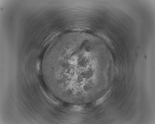 X0000085260166200703231724