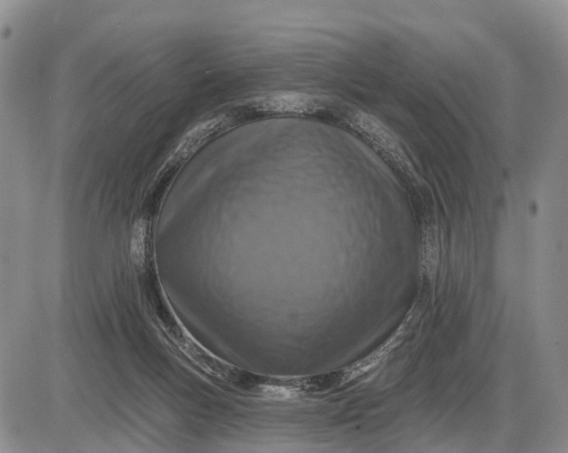 X0000085260167200703231724