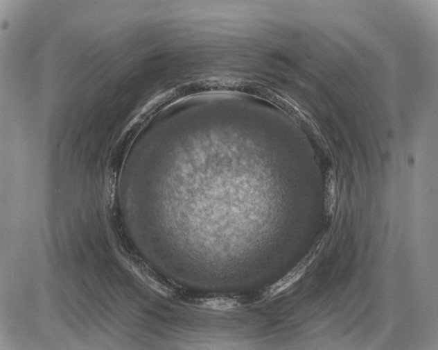 X0000085260168200703231724