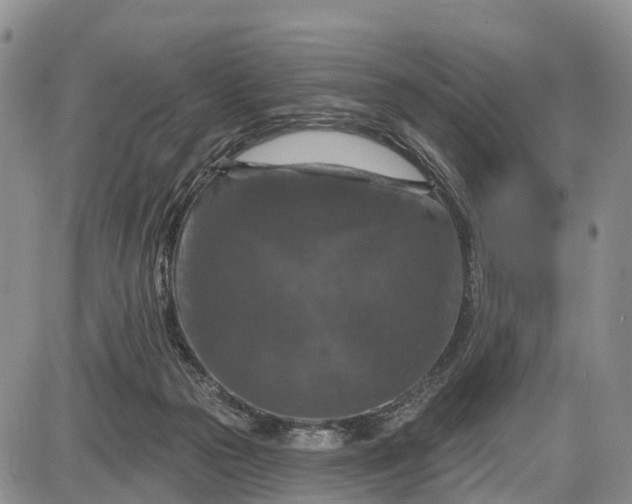 X0000085260169200703231724