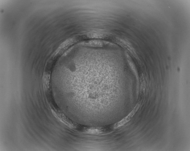 X0000085260171200703231724