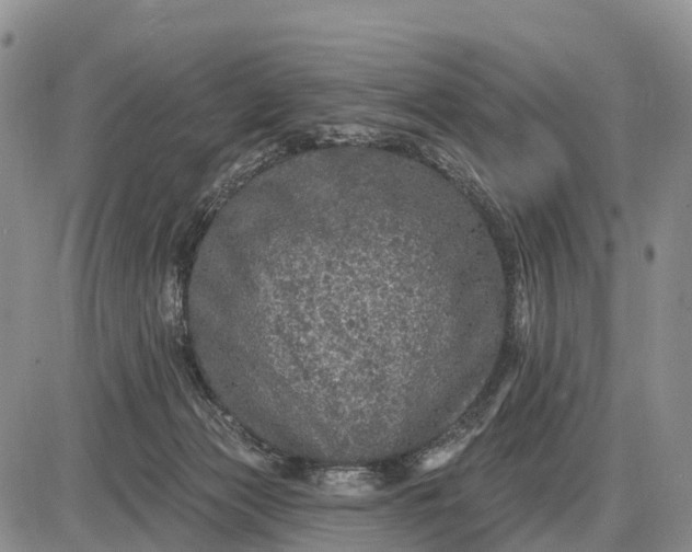 X0000085260173200703231724