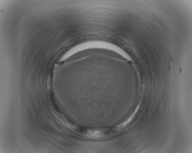 X0000085260174200703231724