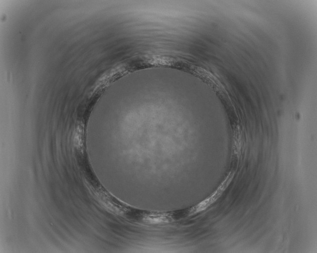 X0000085260175200703231724