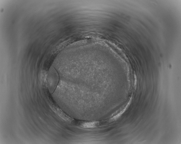 X0000085260178200703231724