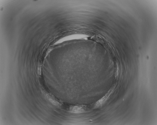 X0000085260180200703231725