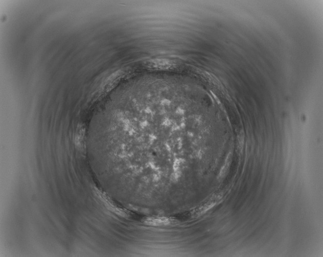 X0000085260181200703231725