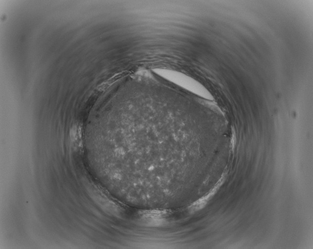 X0000085260182200703231725