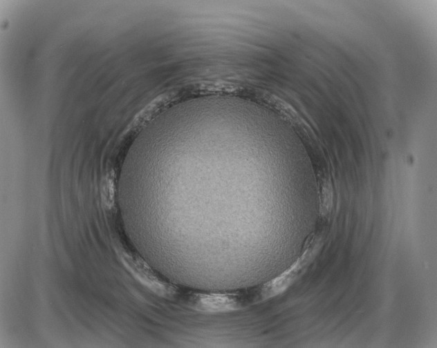 X0000085260183200703231725