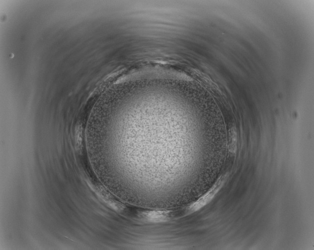 X0000085260184200703231725