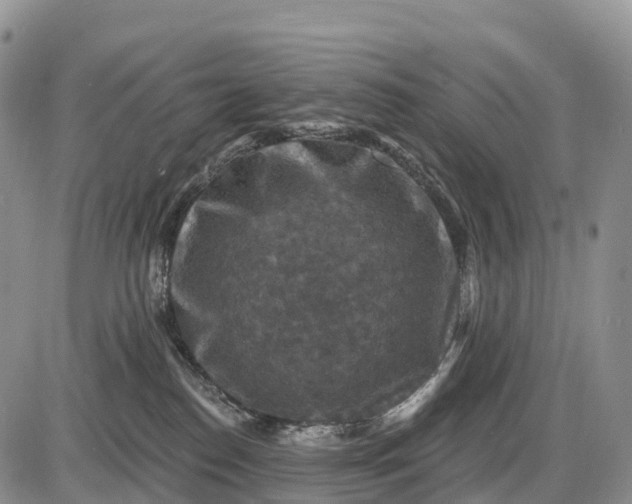 X0000085260186200703231725