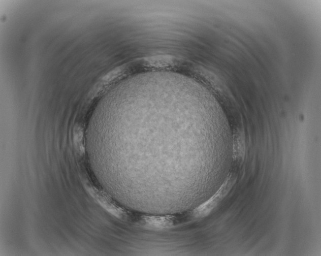 X0000085260187200703231725