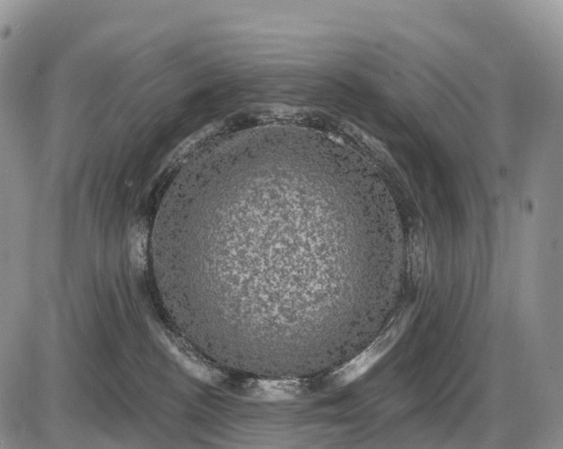 X0000085260188200703231725